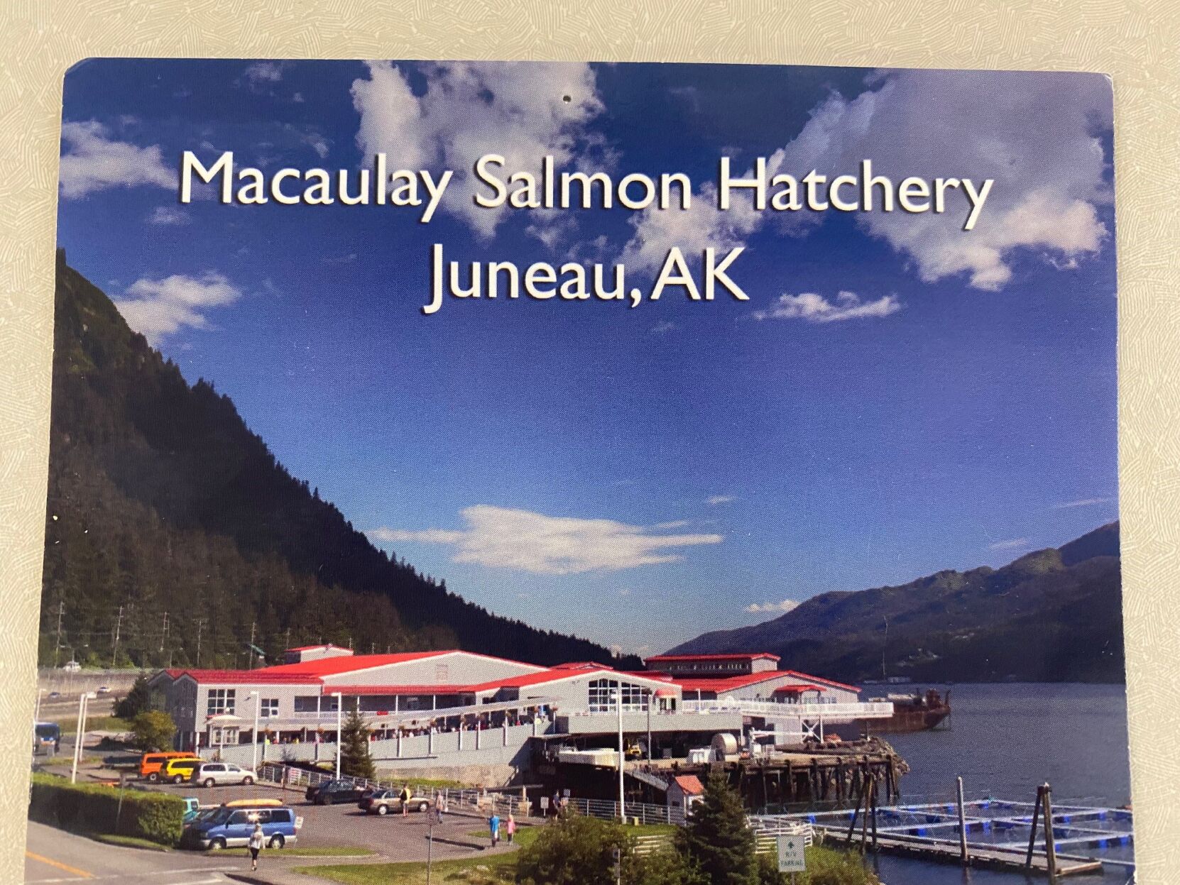 postcard 4.jpg